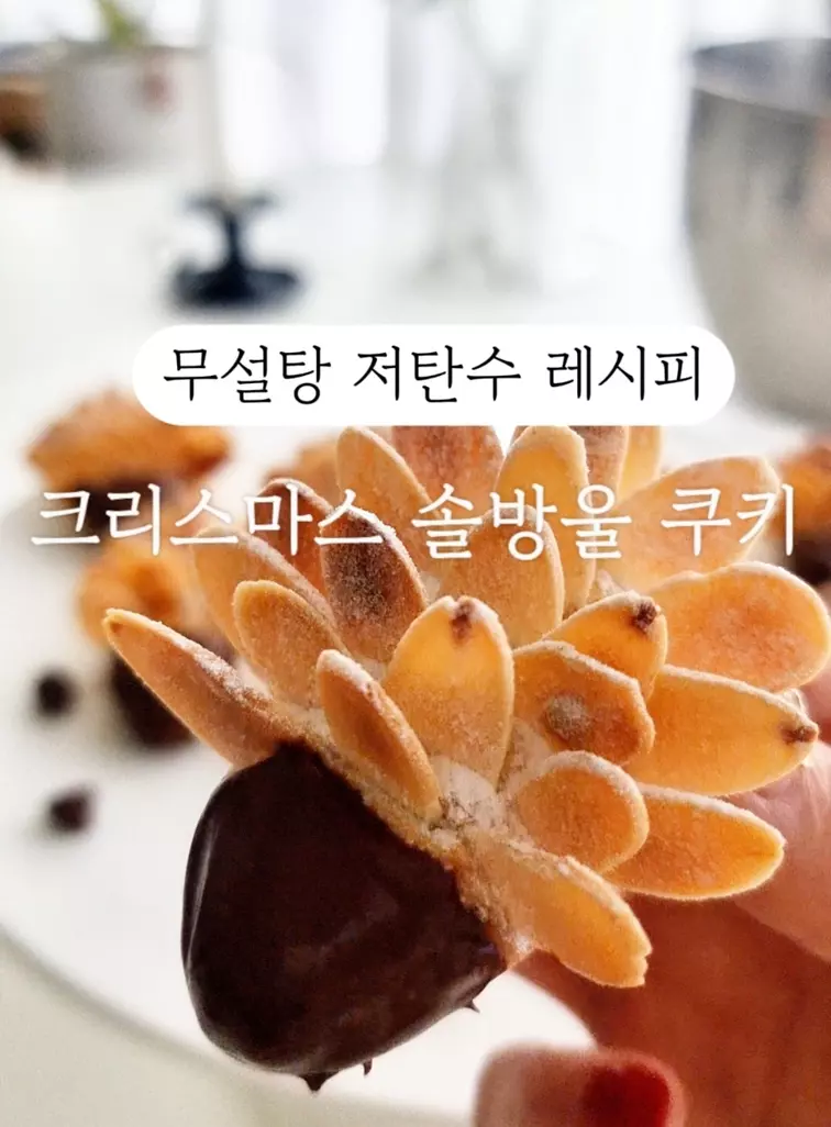 키토 솔방울 쿠키