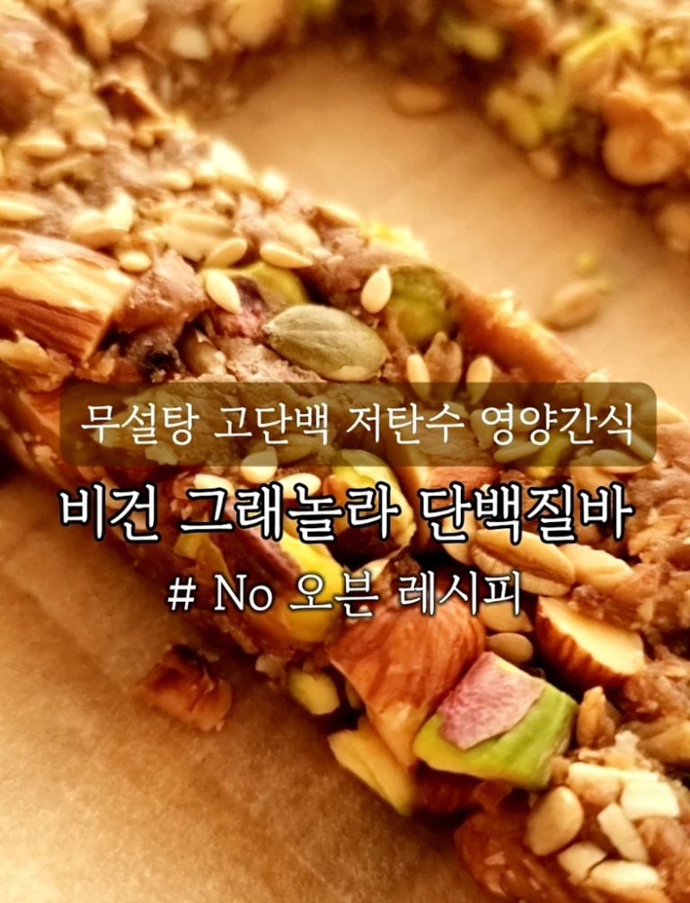 힐베이커 비건 그래놀라 단밸질바