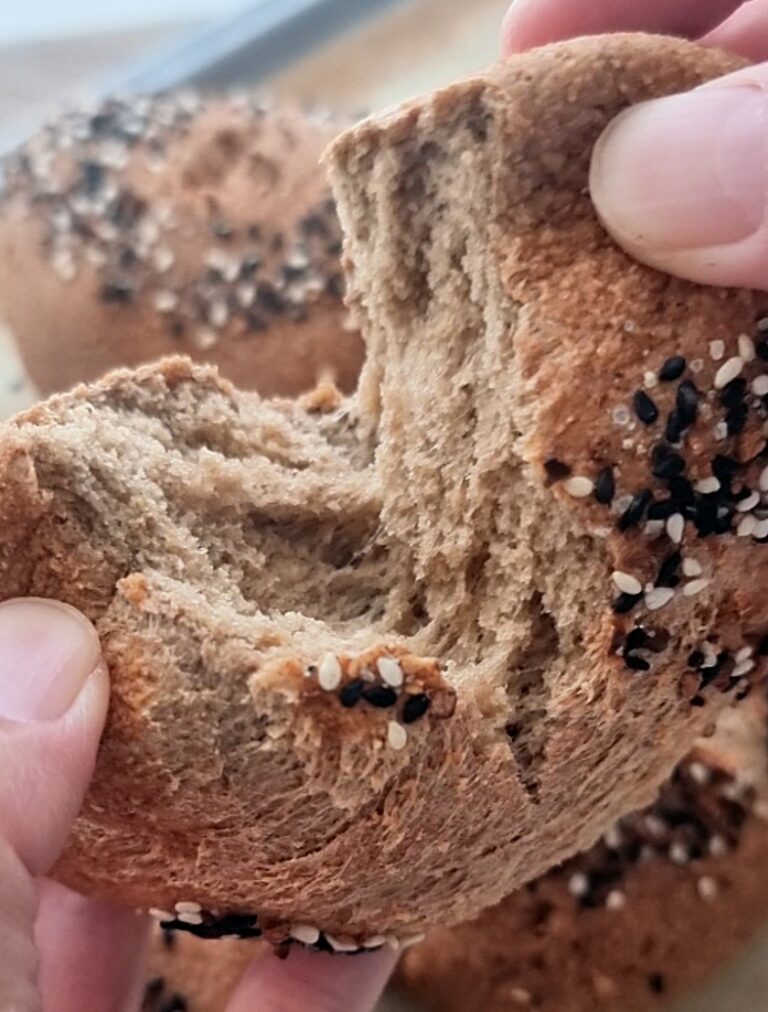 혈당 걱정 없이 먹는 ‘렌틸콩 단백질 디너롤